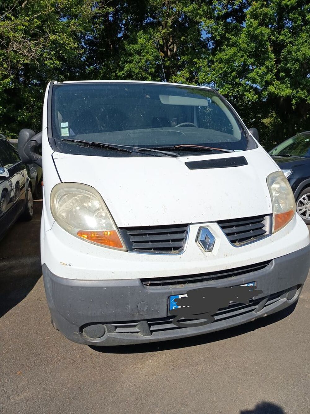 Trafic TRAFIC CA 1.9 DCI 100 L1H1 1000 KG CONFORT 2006 occasion 79130 Neuvy-Bouin