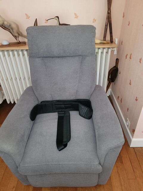 FAUTEUIL ELECTRIQUE RELEVEUR 250 Brive-la-Gaillarde (19)