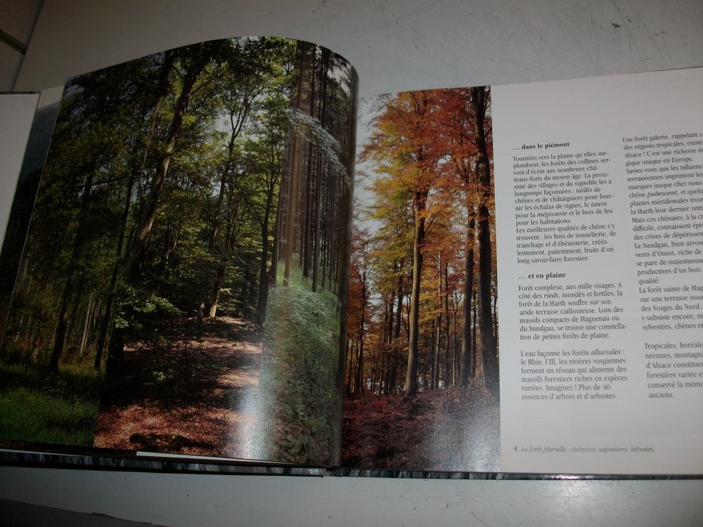 Livres sur l'ALSACE Livres et BD
