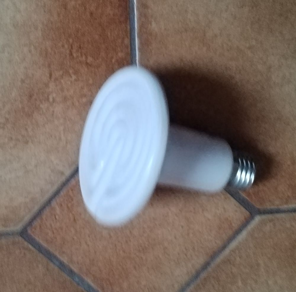   FLEXARIUM avec AMPOULE CHAUFFANTE CERAMIQUE 