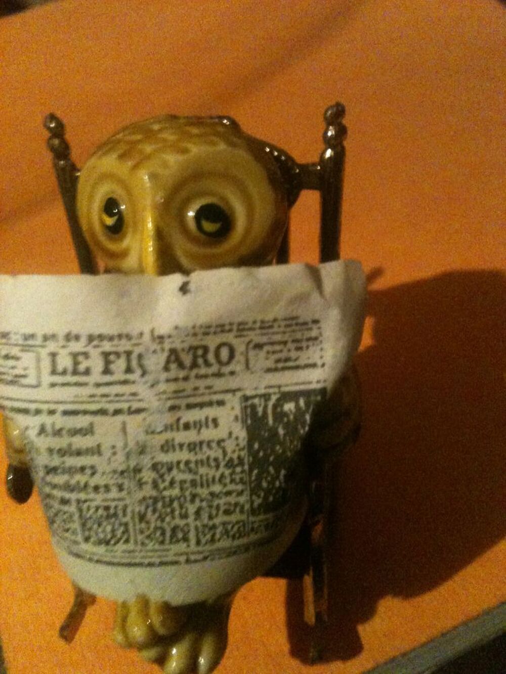 Petite chouette ou hibou en train de lire son journal 