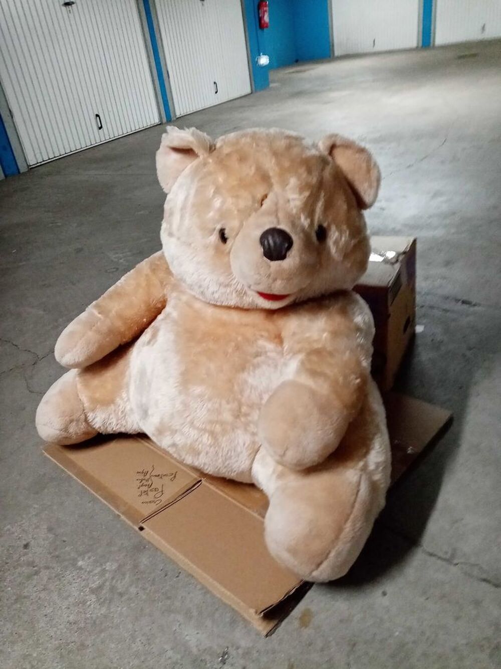 Gros nounours (peluche) Jeux / jouets