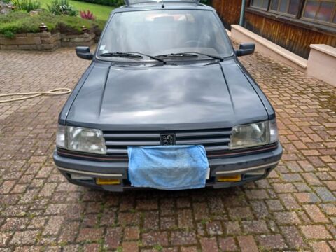 Peugeot 309 1.6 XR