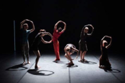   Cherche danseurs / danseuses amateur Contemporain 