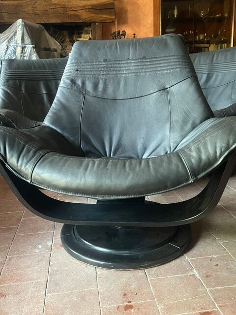 Fauteuils salon cuir Villebarou (41)