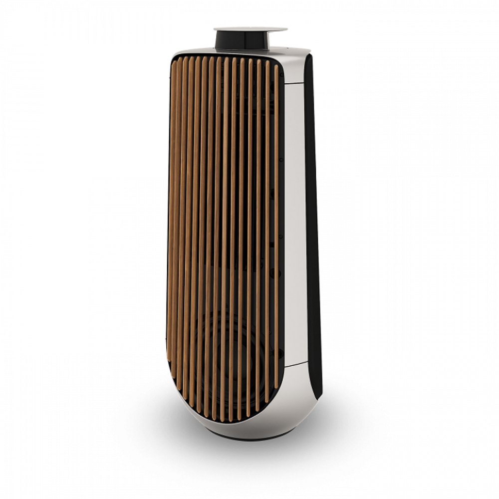 B&amp;O (Bang &amp; Olufsen) BeoLab 50 Audio et hifi