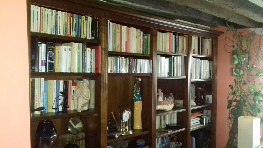 Biblioth&egrave;que merisier massif Meubles