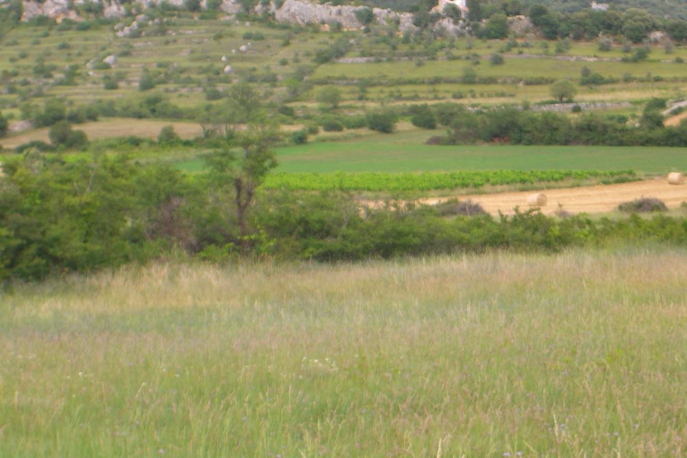 Vente Terrain TERRAIN DE 9200M2 AVEC UNE RUINE DESSUS DE 80M2 Lagorce