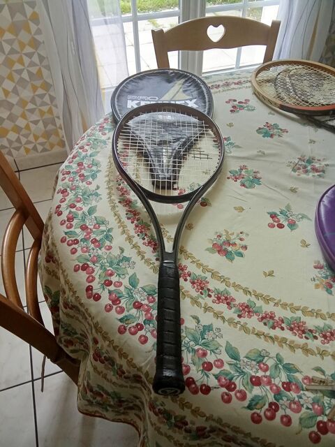 raquette de tennis donnay Écretteville-lès-Baons (76)