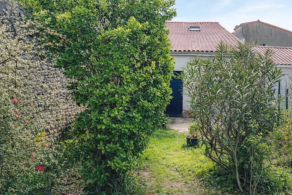 Vente Maison Maison charentaise rénovée 134 m² - centre Meschers - jardin Meschers-sur-gironde
