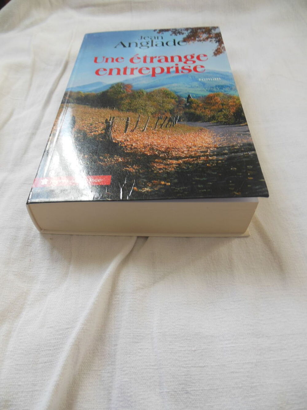 Jean ANGLADE ? Une &eacute;trange entreprise - roman Livres et BD