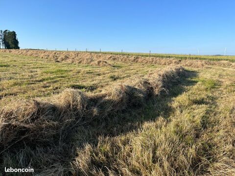 foin petites bottes 2 22600 Saint-caradec