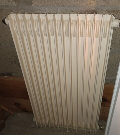 Radiateur fonte 15 Dax (40)