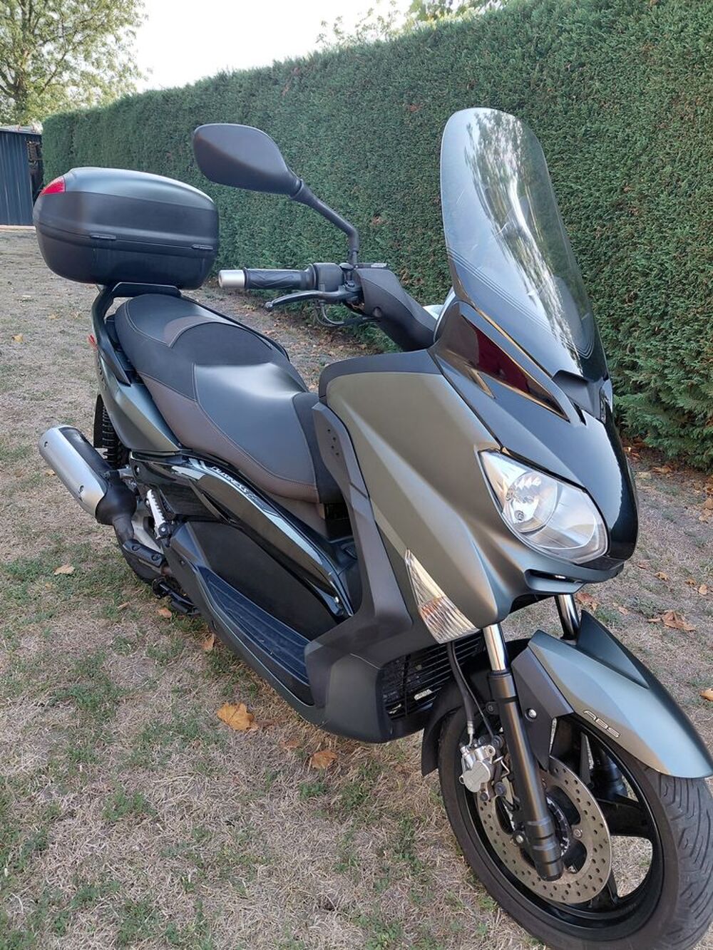 YAMAHA 2012 occasion 17150 Petit Niort