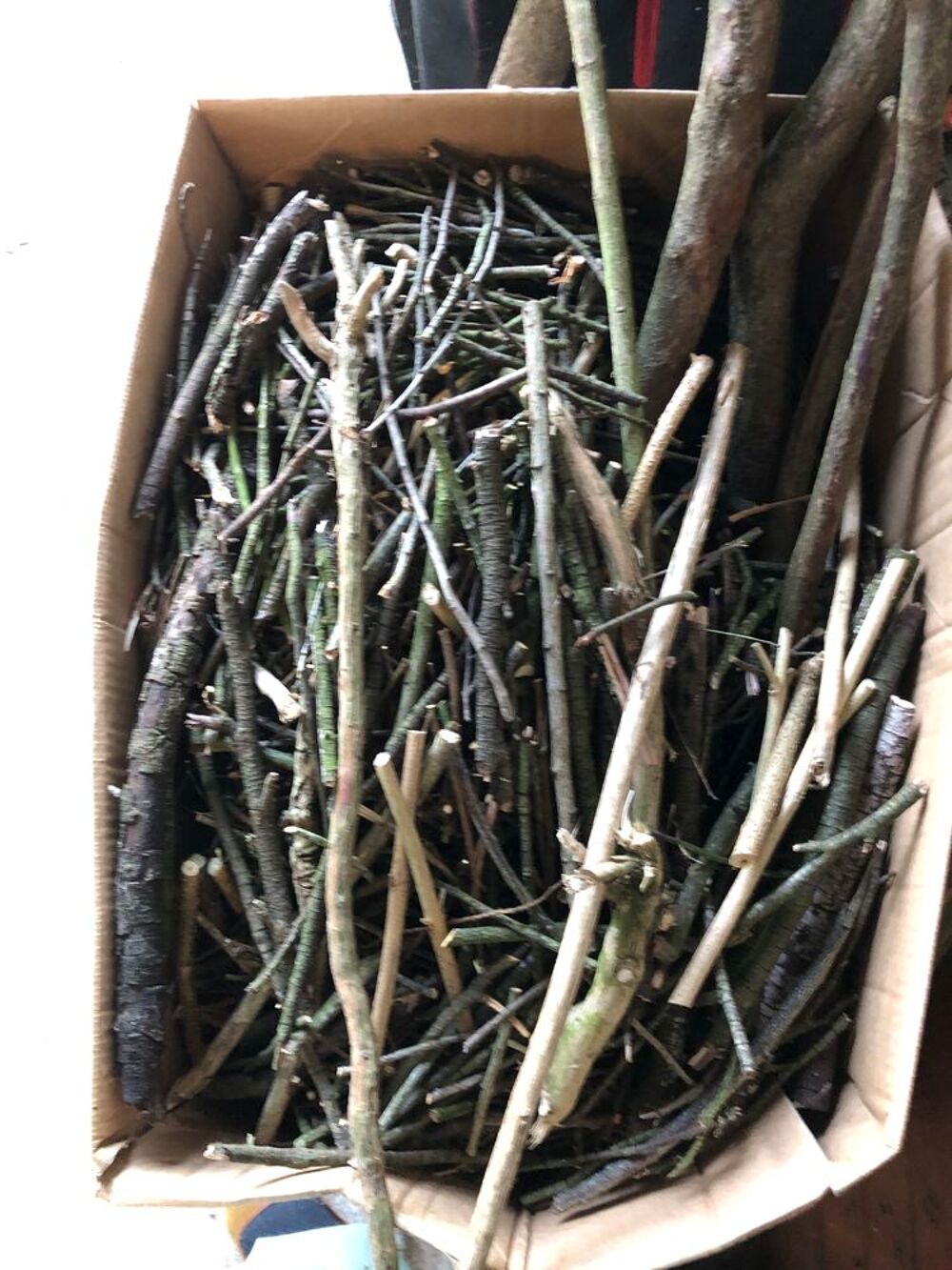Don de petits et moyens bois de chauffage Jardin