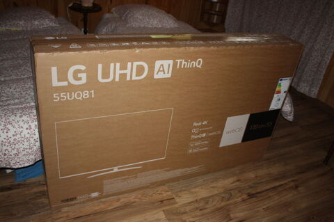 TLVISION 395 Pithiviers (45)