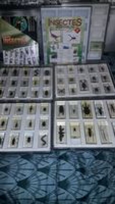   54 INSECTES PRIS DANS RESINE + FASICULES ET 6 COFFRETS 