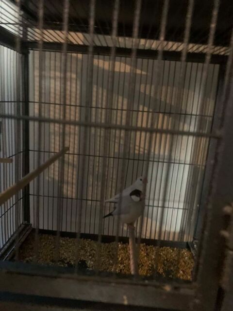 Paddas 100 60700 Pont-sainte-maxence