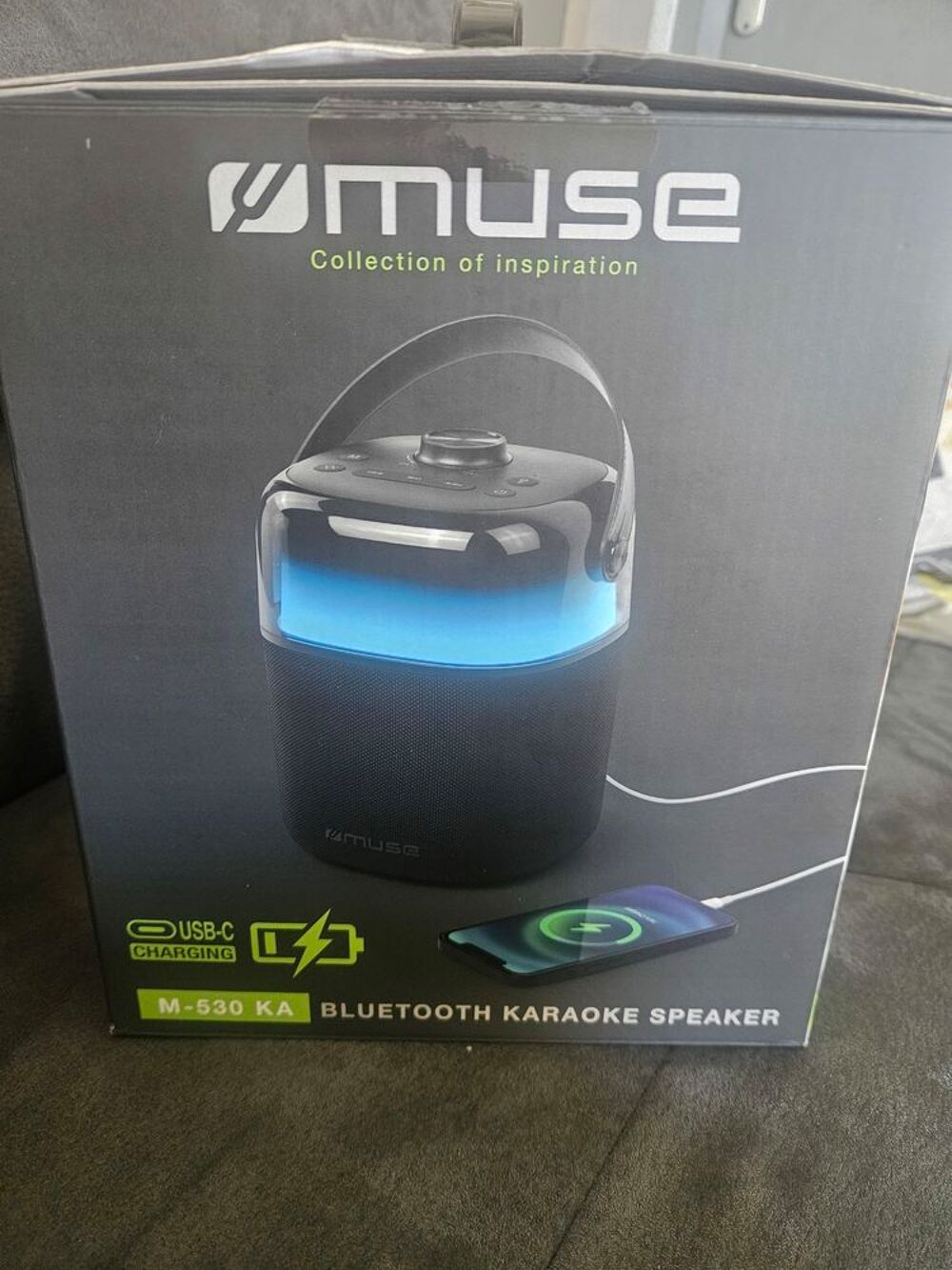 Karaoke avec 2 Micro Audio et hifi