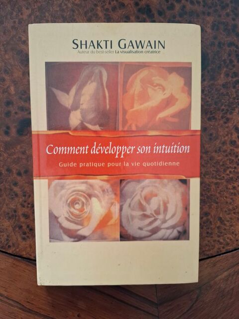 Comment d�velopper son intuition - Gawain et Le Cam 2002 BE 2 La Chapelle-Saint-Luc (10)
