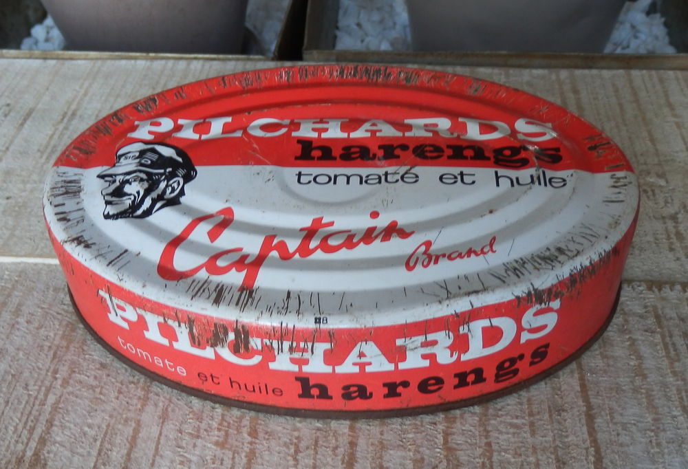 Boite vide de pilchards 
