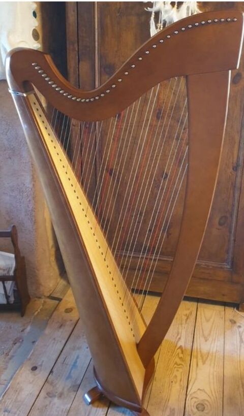 Harpe Camac Korrigan 2500 Foix (09)