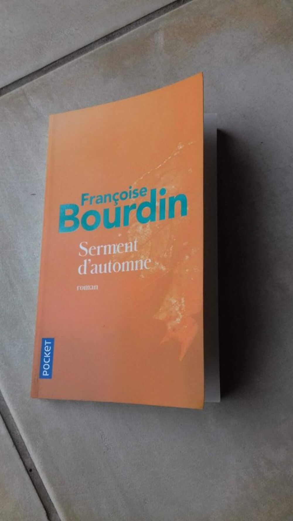Serment d'automne Livres et BD
