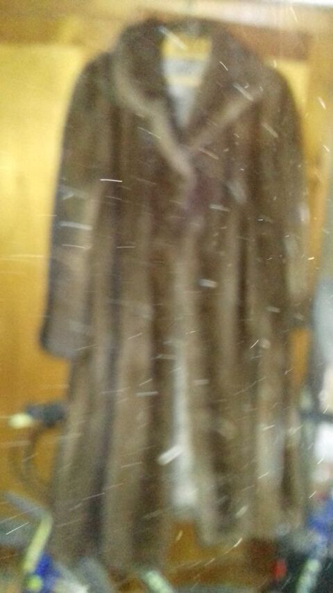 manteau vison brun vient de chez Noele Gen�ve t 36 tr�s bon 160 Gaillard (74)