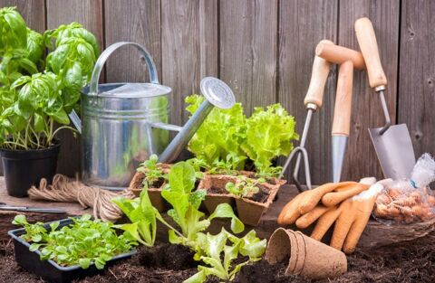 Location de Jardin Potager en Ile de France 50 Orgeval (78)