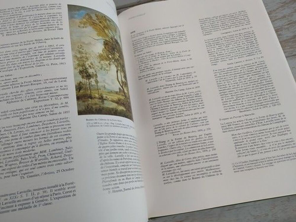 Livre Pierre Miquel Paysage Fran&ccedil;ais au XIXe Si&egrave;cle T4 Livres et BD