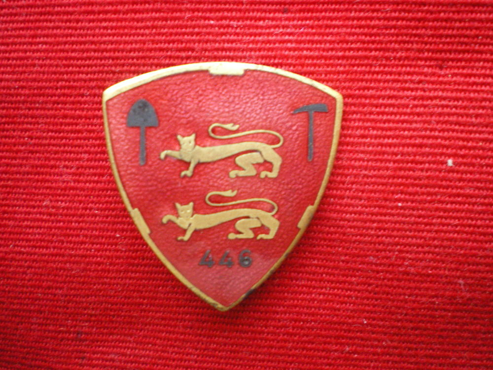 Insigne du G&eacute;nie - 446&deg; R&eacute;giment de Pionniers. 