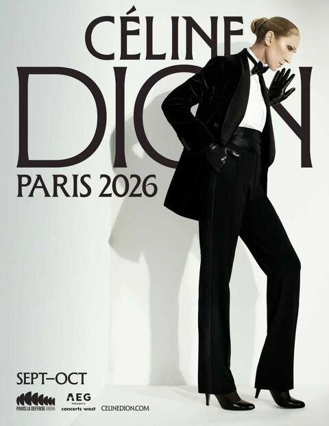 Céline Dion 2 billets Saint-Brieuc (22)