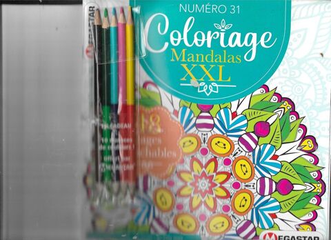 COLORIAGE ADULTE XXL 4 Saint-Denis-en-Val (45)
