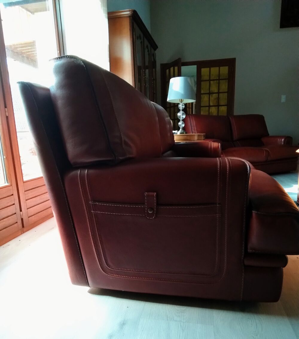 Canape cuir qualit&eacute; pleine fleur. Marque Roche Bobois, , Meubles