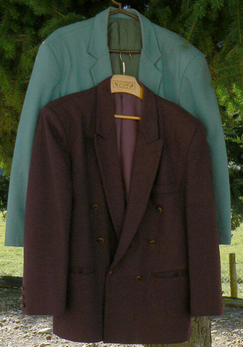 Deux chatoyantes vestes de ville T 46 très bon état 39 Saint-Clair-sur-Galaure (38)