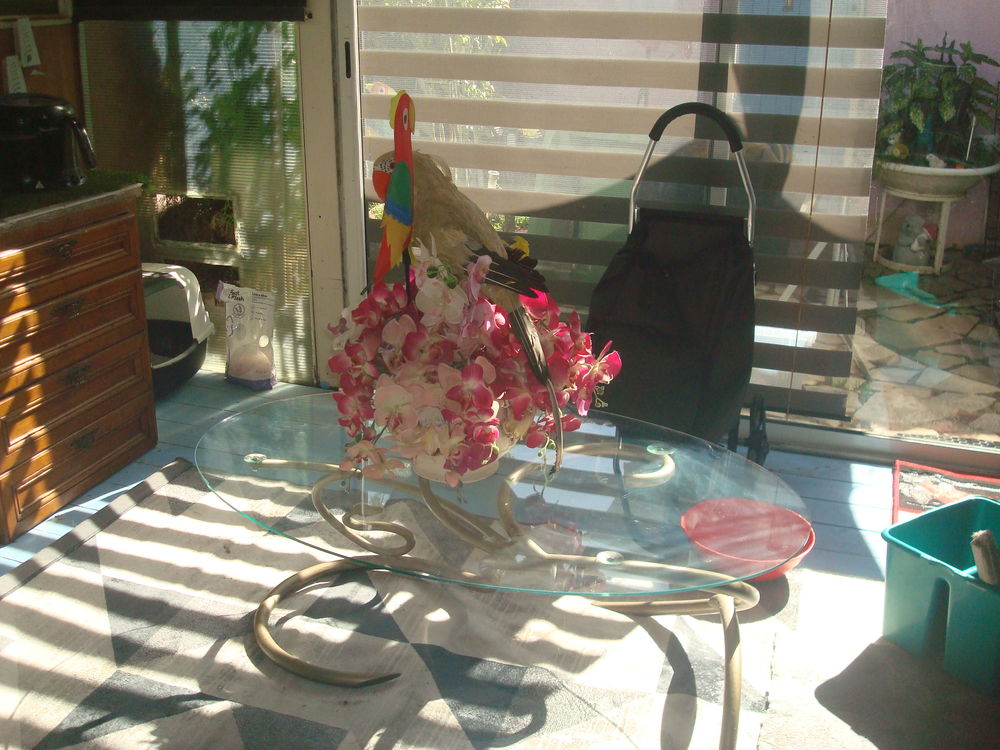 TABLE BASSE DE SALON EN VERRE AVEC PIED CHROMER Meubles