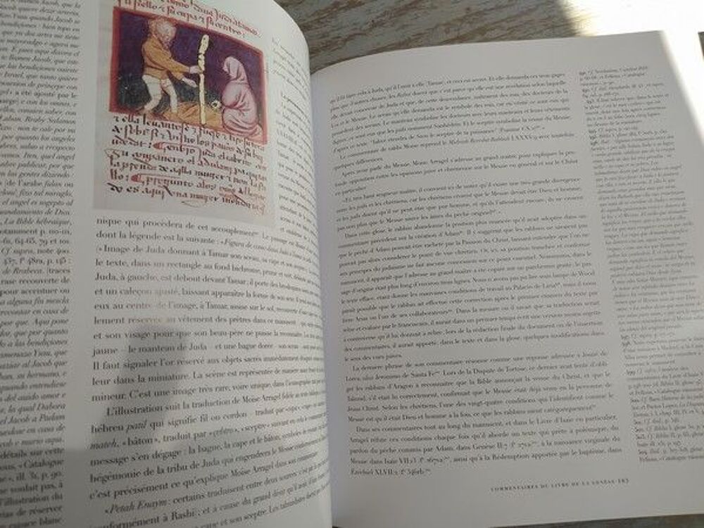 SONIA FELLOUS Histoire de la Bible de Mo&iuml;se Arragel
Livres et BD