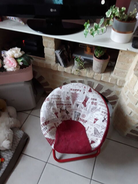 Fauteuil chiens, chats 12 Saint-Andr�-lez-Lille (59)