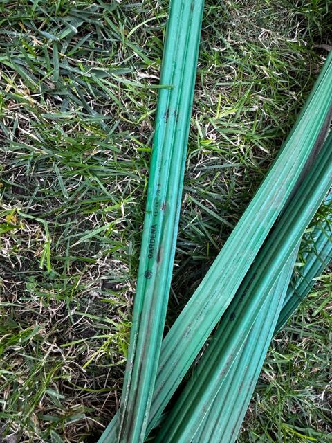 Tuyau d'arrosage GARDENA goutte à goutte longueur 10 m Maisons-Alfort (94)