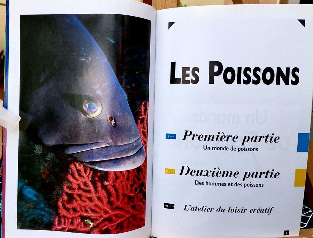 Les Poissons ; Livre Neuf, 142 pages Livres et BD
