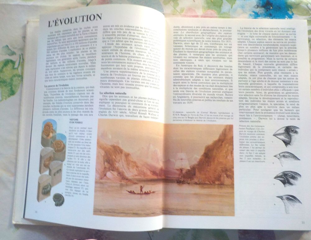 LA NOUVELLE ENCYCLOPEDIE DES ANIMAUX Ed. France Loisirs Livres et BD