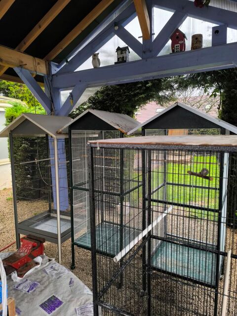 cages pour oiseaux 30 71370 Saint-germain-du-plain