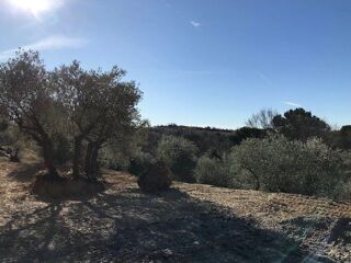  Terrain à vendre 200 m²
