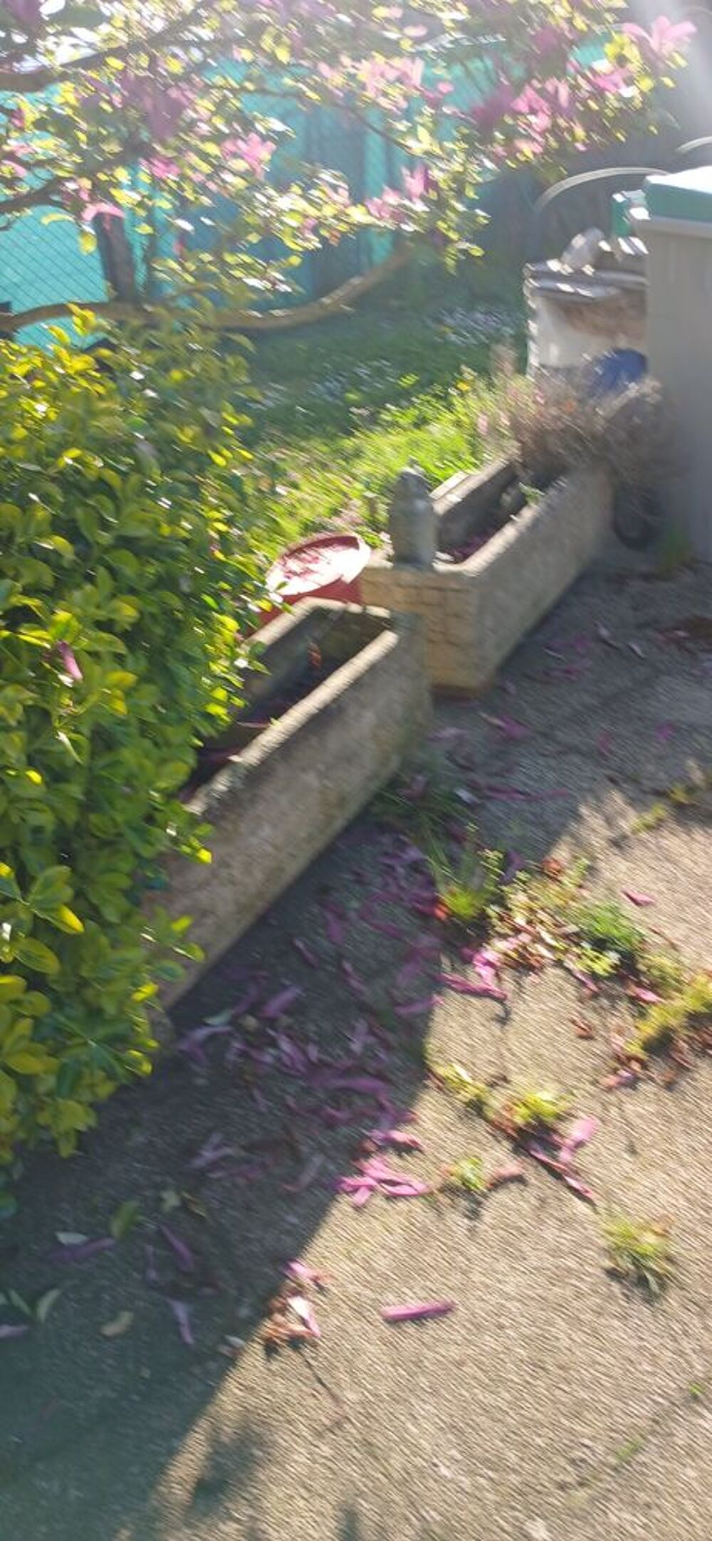 JARDINI7RE EN PIERRE Jardin
