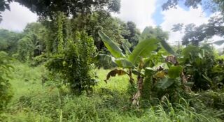  Terrain � vendre 500 m�