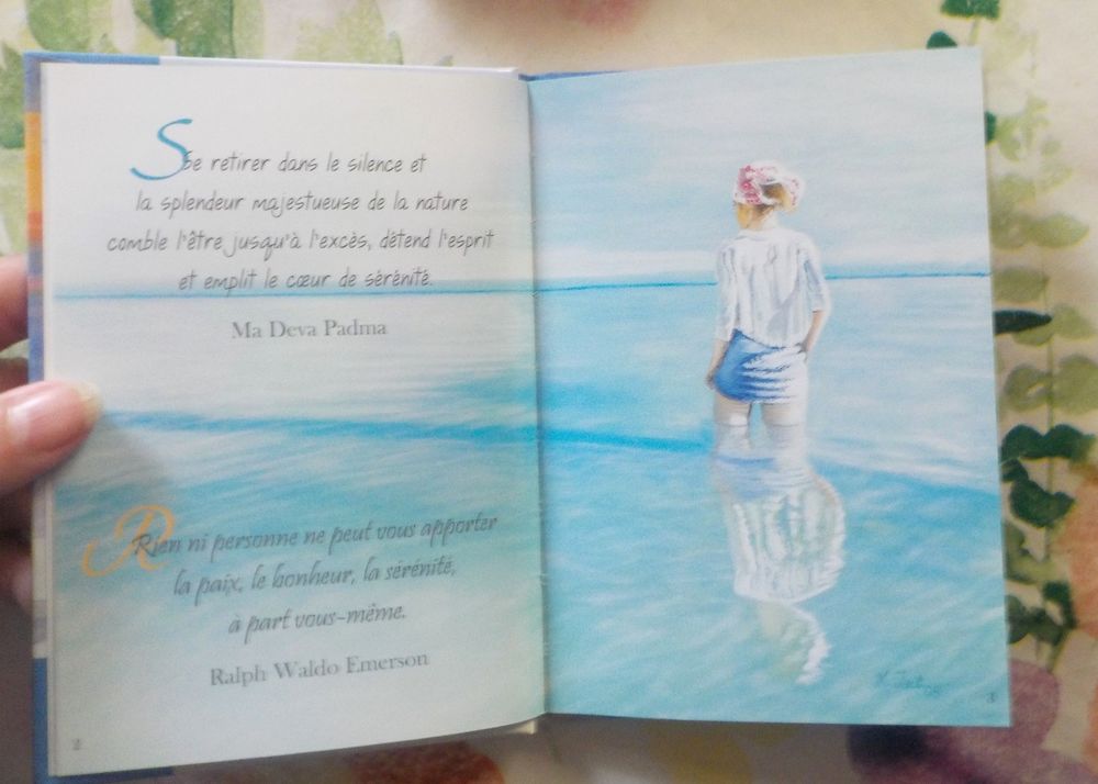 5 RECUEILS DE CITATIONS SERENITE AMITIE BONHEUR AMOUR JOIE Livres et BD