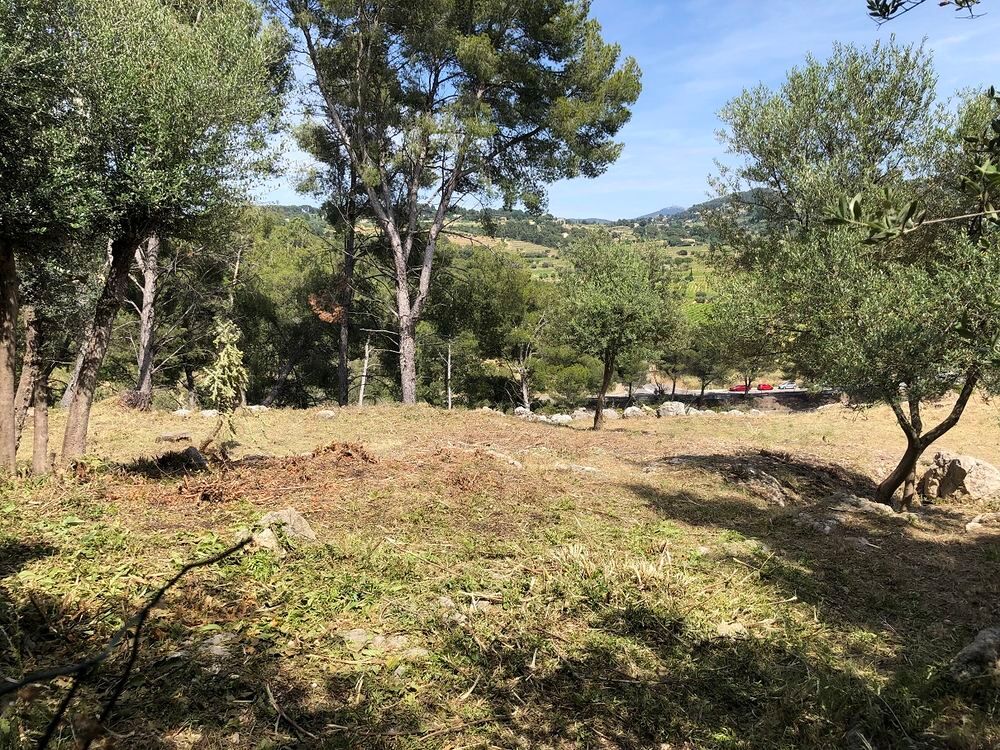 Vente Terrain Terrain 871 m² à La Cadière d'Azur 83740 La cadière-d'azur