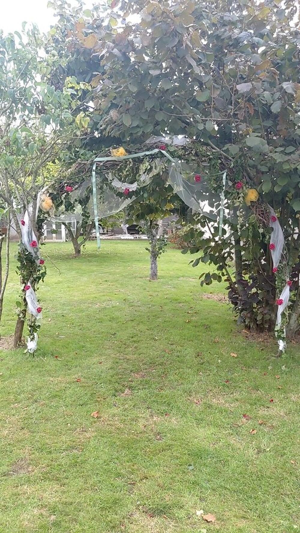   arche mariage 