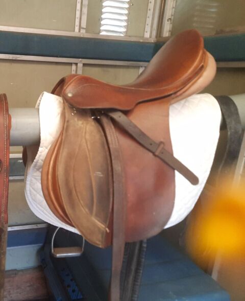 Selle equitation 230 Friesen (68)