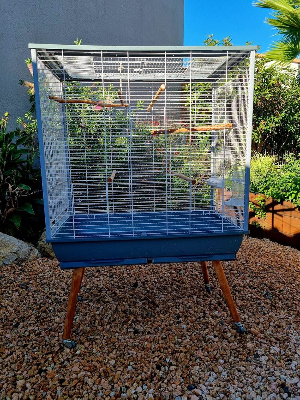   grande cage pour oiseaux 